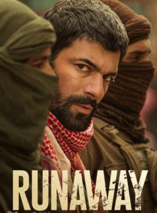 暗金丑岛君海报